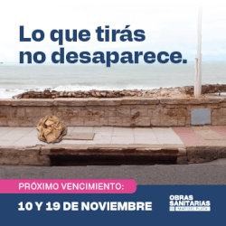 OSSE NOVIEMBRE